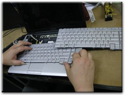 Ремонт клавиатуры на ноутбуке Toshiba в Витебске